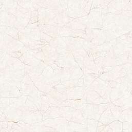 ���� Andrea Rossi Spectrum New 54497-1