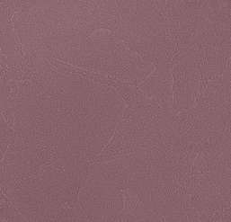  Andrea Rossi Spectrum Plus 54351-7