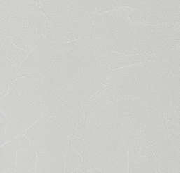  Andrea Rossi Spectrum Plus 54351-10