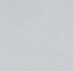  Andrea Rossi Spectrum Plus 54351-17