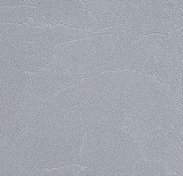  Andrea Rossi Spectrum Plus 54351-19