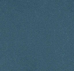  Andrea Rossi Spectrum Plus 54351-21