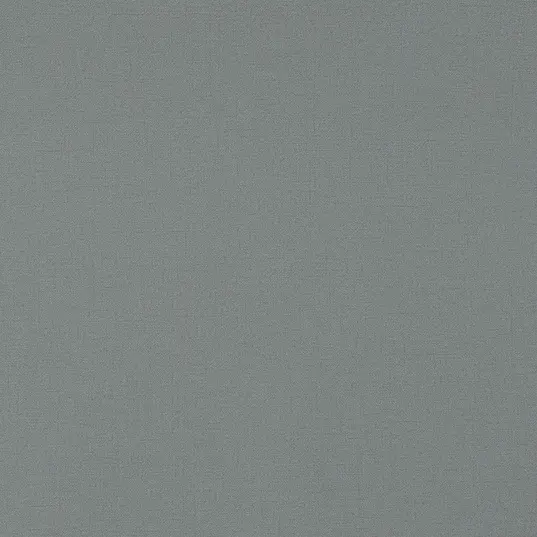 Andrea Rossi Spectrum Pro 54379-8 -  1
