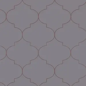  Andrea Rossi Spectrum Pro 54388-8 -  1