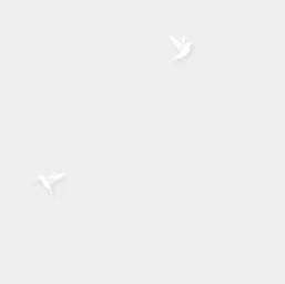 ���� Andrea Rossi Spectrum 54338-1