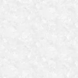  Andrea Rossi Asinara 54243-2