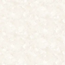  Andrea Rossi Asinara 54243-3