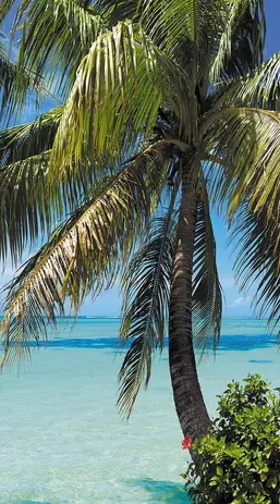  Antimarker ���������� 1-A-104