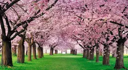  Antimarker ���������� 2-A-214