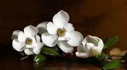  Antimarker ���������� 2-A-270