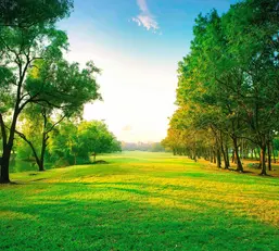  Antimarker ���������� 6-A-605