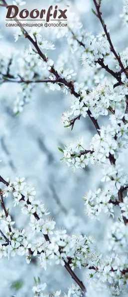  Antimarker ������� D-037