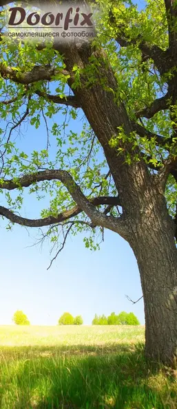  Antimarker ������� D-042