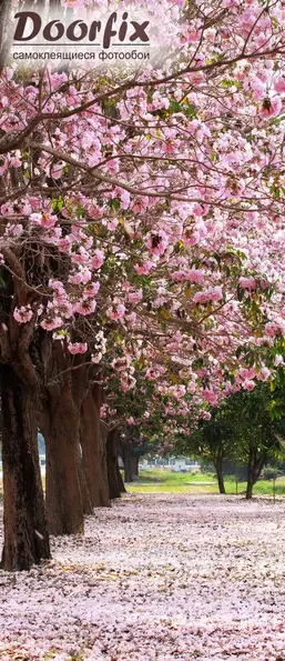  Antimarker ������� D-043