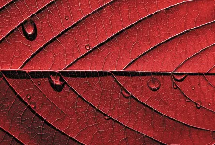  Antimarker  M-413 -  1
