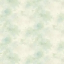  Aquarelle Brushstrokes 2003 BR A