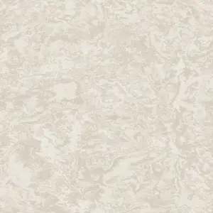  Architector Carraro CP00707 -  1