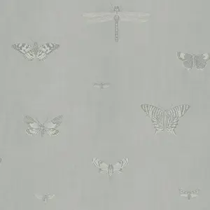  Architector Lipari LP00311 -  1