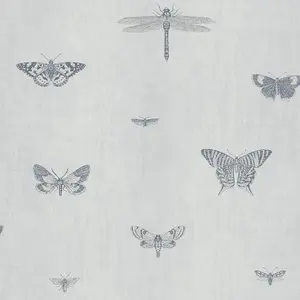  Architector Lipari LP00312 -  1