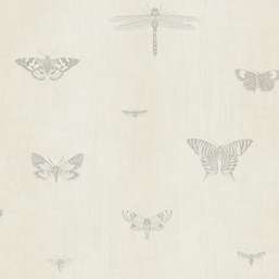  Architector Lipari LP00313
