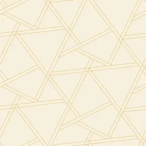  Architector Mod Geo MG41505 -  1