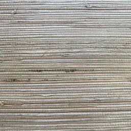  Architector Pavone PA01601