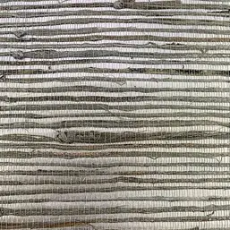  Architector Pavone PA01602