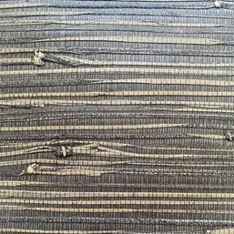  Architector Pavone PA01603