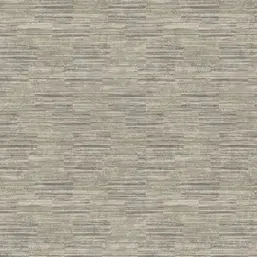  Architector Pavone PA01613