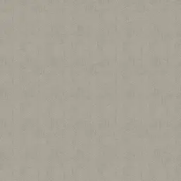 Architector Pavone PA01620