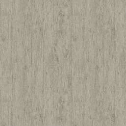  Architector Pavone PA01634