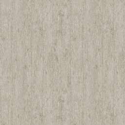  Architector Pavone PA01635