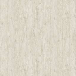  Architector Pavone PA01636