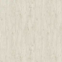  Architector Pavone PA01636