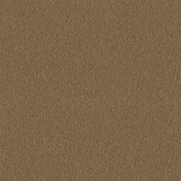  Architector Pavone PA01638