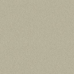  Architector Pavone PA01640