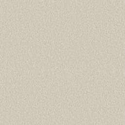  Architector Pavone PA01641