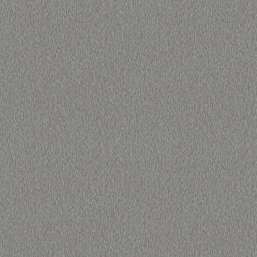  Architector Pavone PA01642