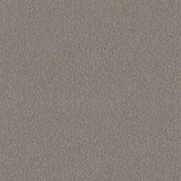  Architector Pavone PA01643