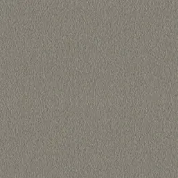  Architector Pavone PA01643