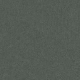  Architector Sauvage KT10152