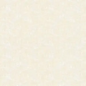  Architects Paper Di Seta 36669-1 -  1
