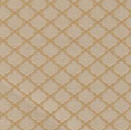  Arlin Elegance 25 EGN-A