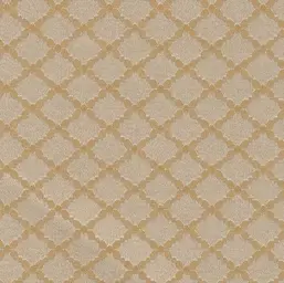  Arlin Elegance 25 EGN-A