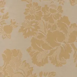  Arlin Elegance 25 EGN-F