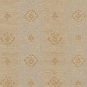  Arlin Elegance 25 EGN-R -  1