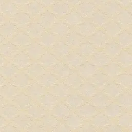  Arlin Elegance 41 EGN-A