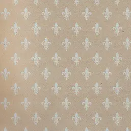  Arlin Firenze 5-FEL-G