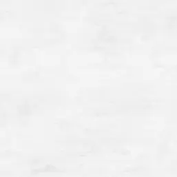   Adele AR11172-02