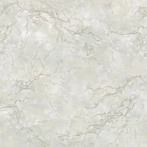   Background  BG10182-02 -  1